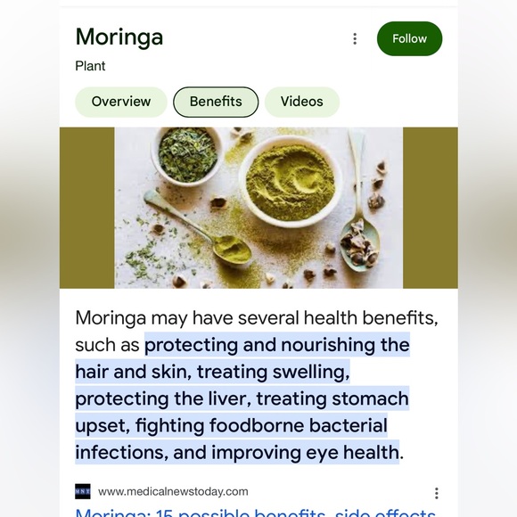 Moringa tree, baby. Nice route and bulb system so it has enough energy to ship. - Picture 12 of 12